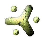 \resizebox*{!}{0.15\textheight}{\includegraphics{images/logo.eps}}